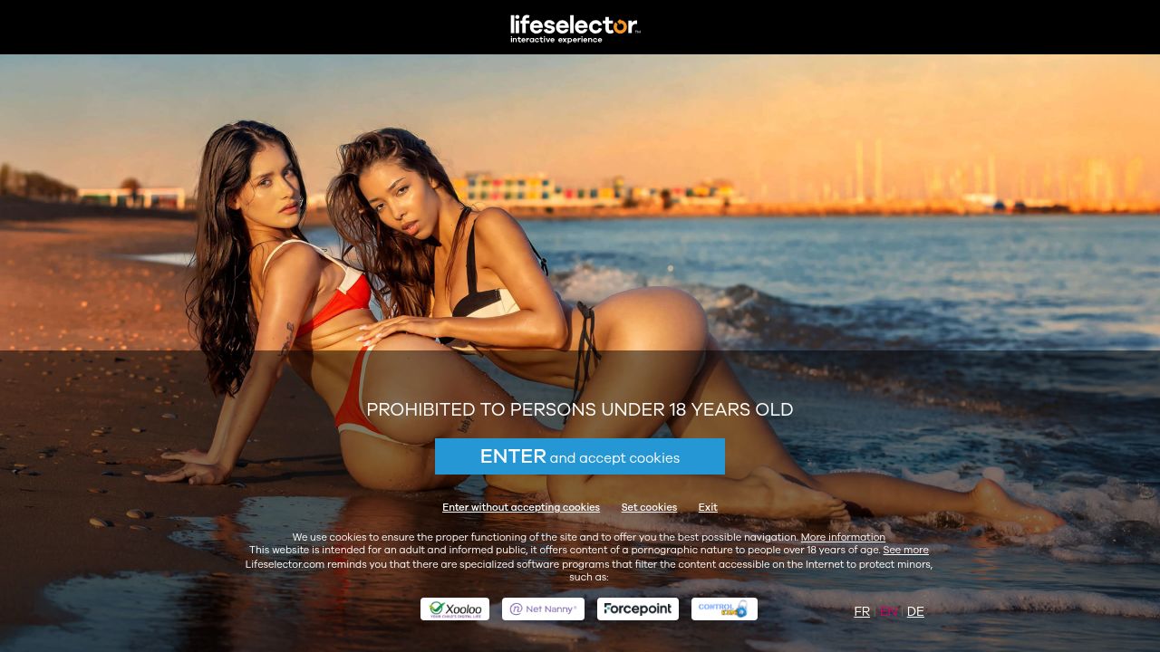 LifeSelector
